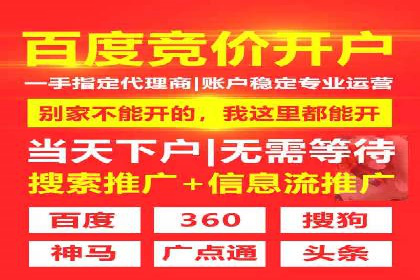 百度推广在旅游行业的应用案例